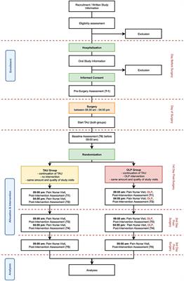 Open-Label Placebo Treatment for Acute Postoperative Pain (OLP-POP Study): Study Protocol of a Randomized Controlled Trial